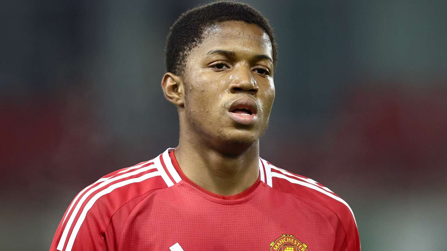 不仅是两位 不仅是两位